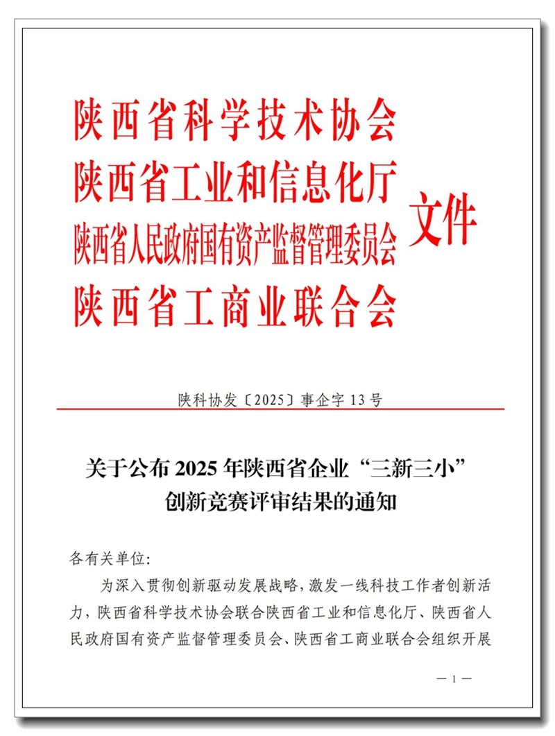 2025年三新三小 获奖 文件  (事企字13号）(1)_01_副本.jpg